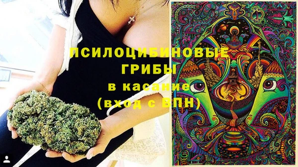 дмт Гусиноозёрск