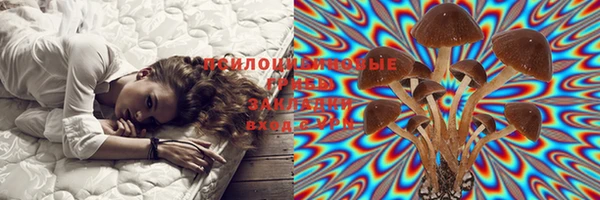 дмт Гусиноозёрск